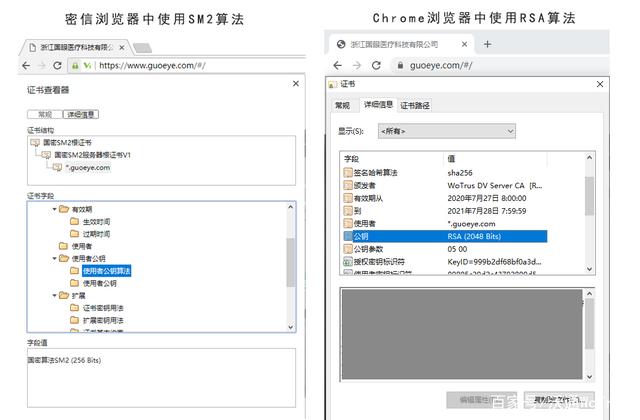 国密安全浏览器